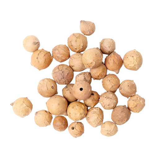 Oak-galls-gallnut-mordant-for-natural-dyeing