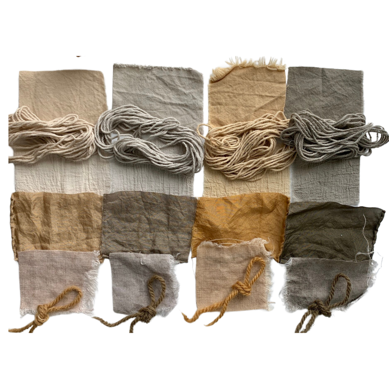 Grüne Eiche Gallnüsse | Ganz