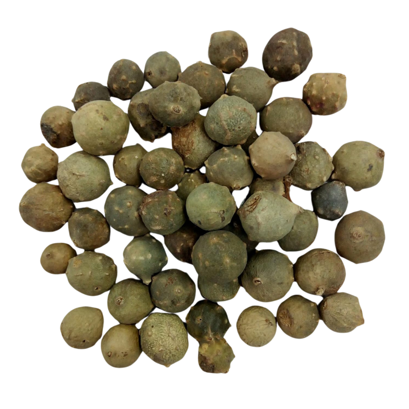 Eichengallenpulver Tannin | Grün