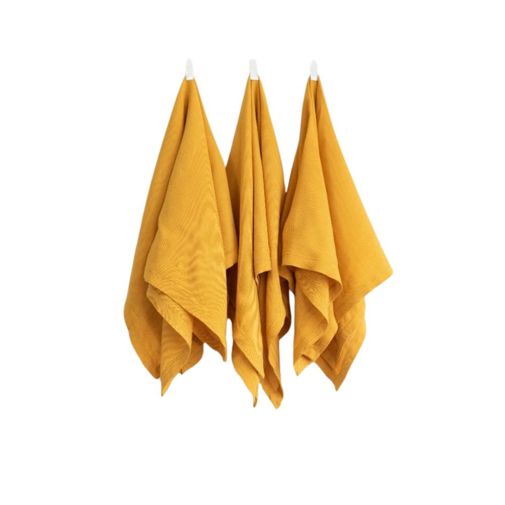 Buckthorn seeds natural dye bath process – whole seeds steeped for yellow dye extraction