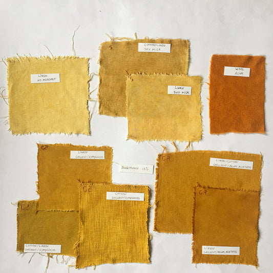 Comparison Between Mordant Methods with Buckthorn Dye