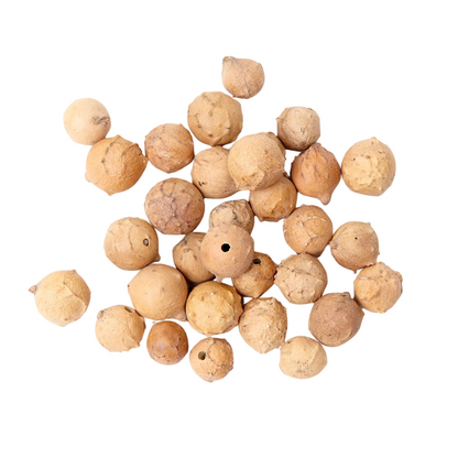 Whole white oak gallnuts (Quercus infectoria) tannin-rich galls for natural dyeing