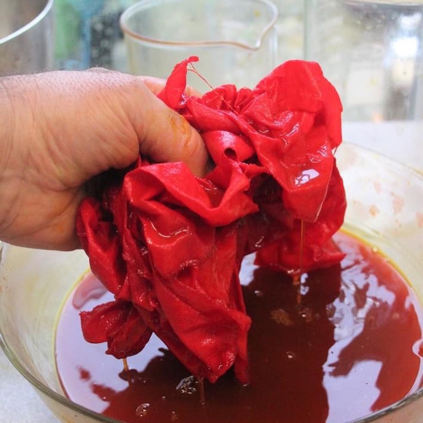 Safflower | Natural Dye